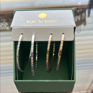 Silver and Gold Hoop Earrings